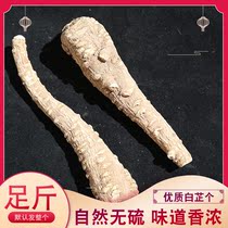 Angelica root 500 grams of incense stick premium whole root non-farm big angelica pepper star anise spice seasoning Daquan