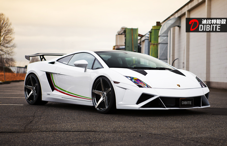 Lamborghini Gallardo lp560 4 White