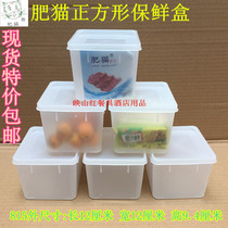 Mini enhanced small fresh-keeping box square box vegetable fresh head box plastic sealed refrigerated food storage box