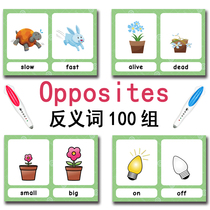 Rich English vocabulary antonym synonyms small point reading flash card young children Enlightenment English card