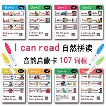 English Natural Spelling Phonetic Enlightenment Flash Card phonics Early Education Cognitive Support Malt Small Master Point Reading