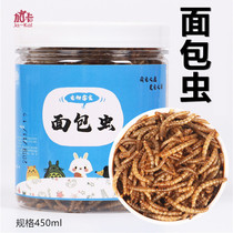 Breadworm dry rat food pet snacks crawling pet staple food turtle food Yellow mealworm feed hedgehog staple food supplies