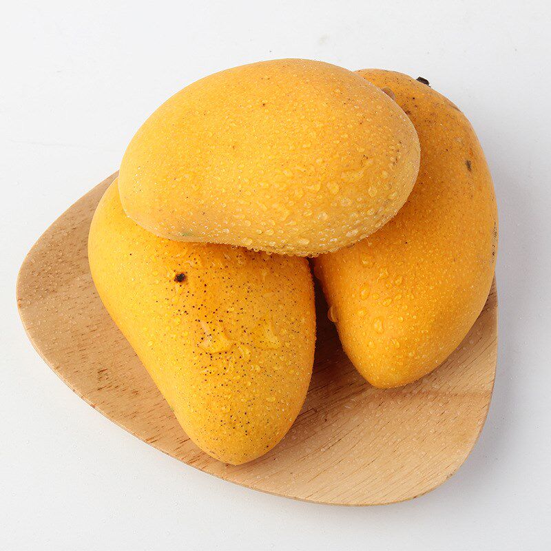 海南小台10斤鸡蛋芒果新鲜水果水果树树上熟甜台芒果