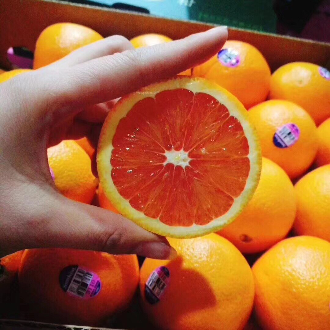美国新奇士血橙橙子脐橙红心橙子3110孕妇红肉进口新鲜水果半箱_7折
