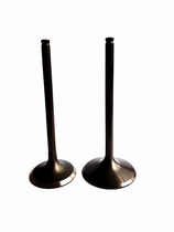 Ya Xiang LD450 intake valve exhaust valve Original Original