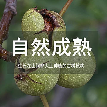 【白菜价】云南大姚薄皮干核桃1斤装[5元优惠券]-寻折猪