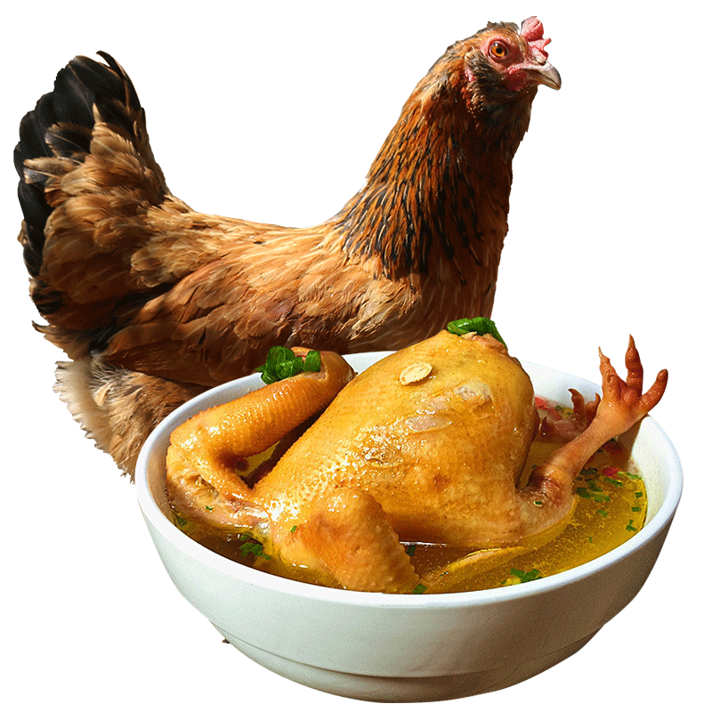 百年栗园农家散养500天土鸡柴鸡老母鸡1.25kg第二件1元拍双数