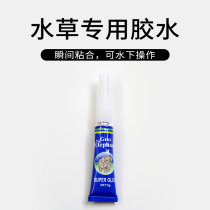 (Worry-free creative original aquatic ) instant glue for aquatic scenery such as water grass Mos Coral