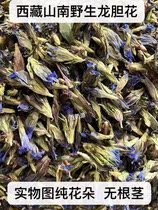 Tibetan herbal medicine gentian flower jade beauty pure natural Yu meiren Guanyin grass blue flower gentian grass no rhizome pure flower