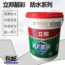 Libang beautiful color easy to paint waterproof coating JS super soft flexible kitchen bathroom wall floor waterproof