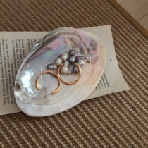 Tjj wild shell jewelry pendulum seashells pin props small debris storage tray