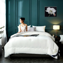 Quilt Spring autumn quilted by winter Thickened Warm Soybean Fiber Quilt by Four Seasons General Single Dormitory Cotton Quilted by Air conditioning