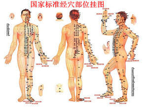 人体经络穴位图艾灸养生彩图常用病例取穴参考