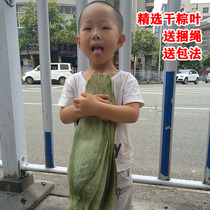 Fresh dried rice dumpling leaves pure natural Hubei large rice dumpling leaves 100 free mail