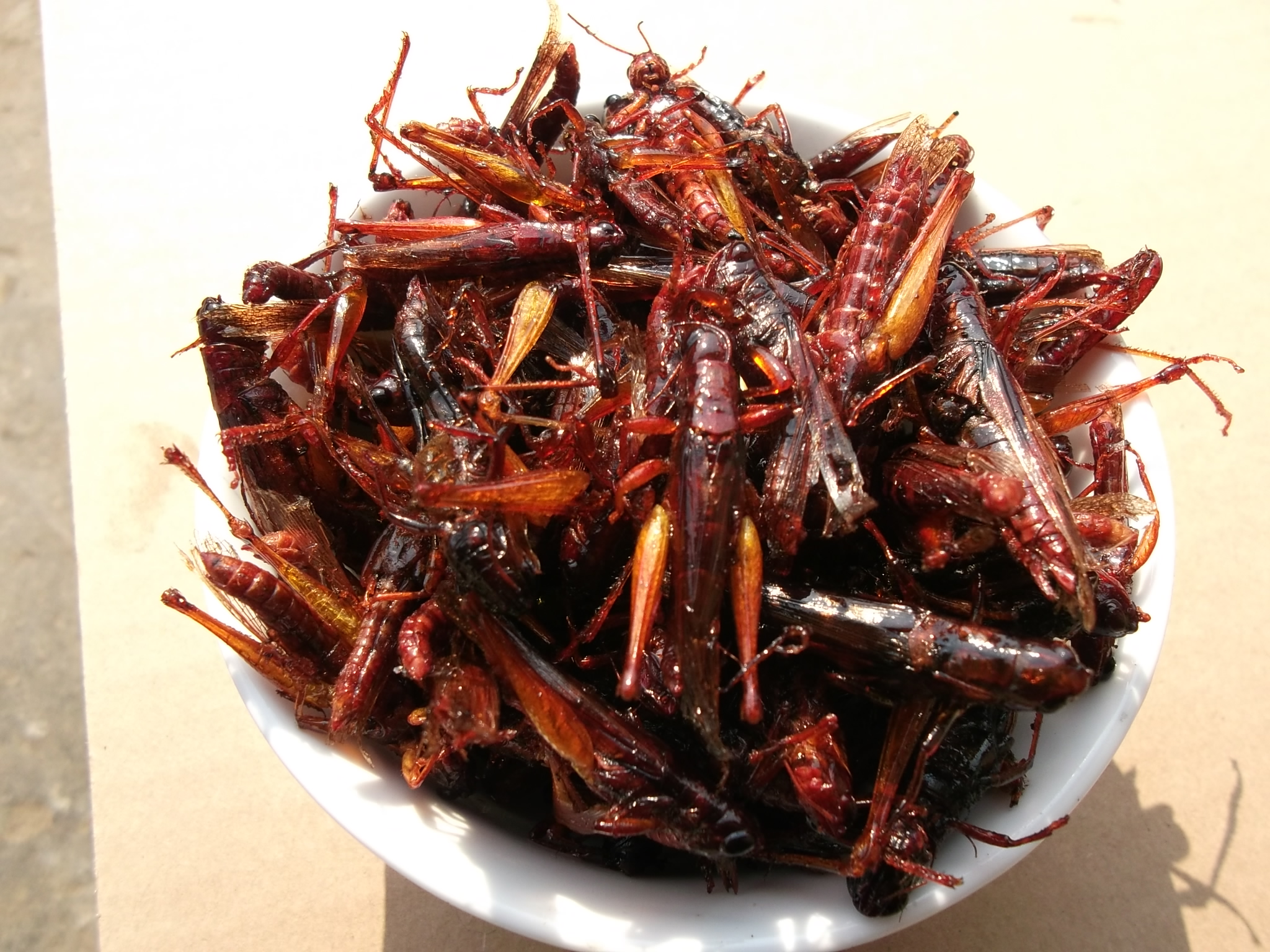 香辣蚂蚱油炸蚂蚱野生蝗虫土蚂蚱沂蒙特产昆虫开袋即食现炸现发货