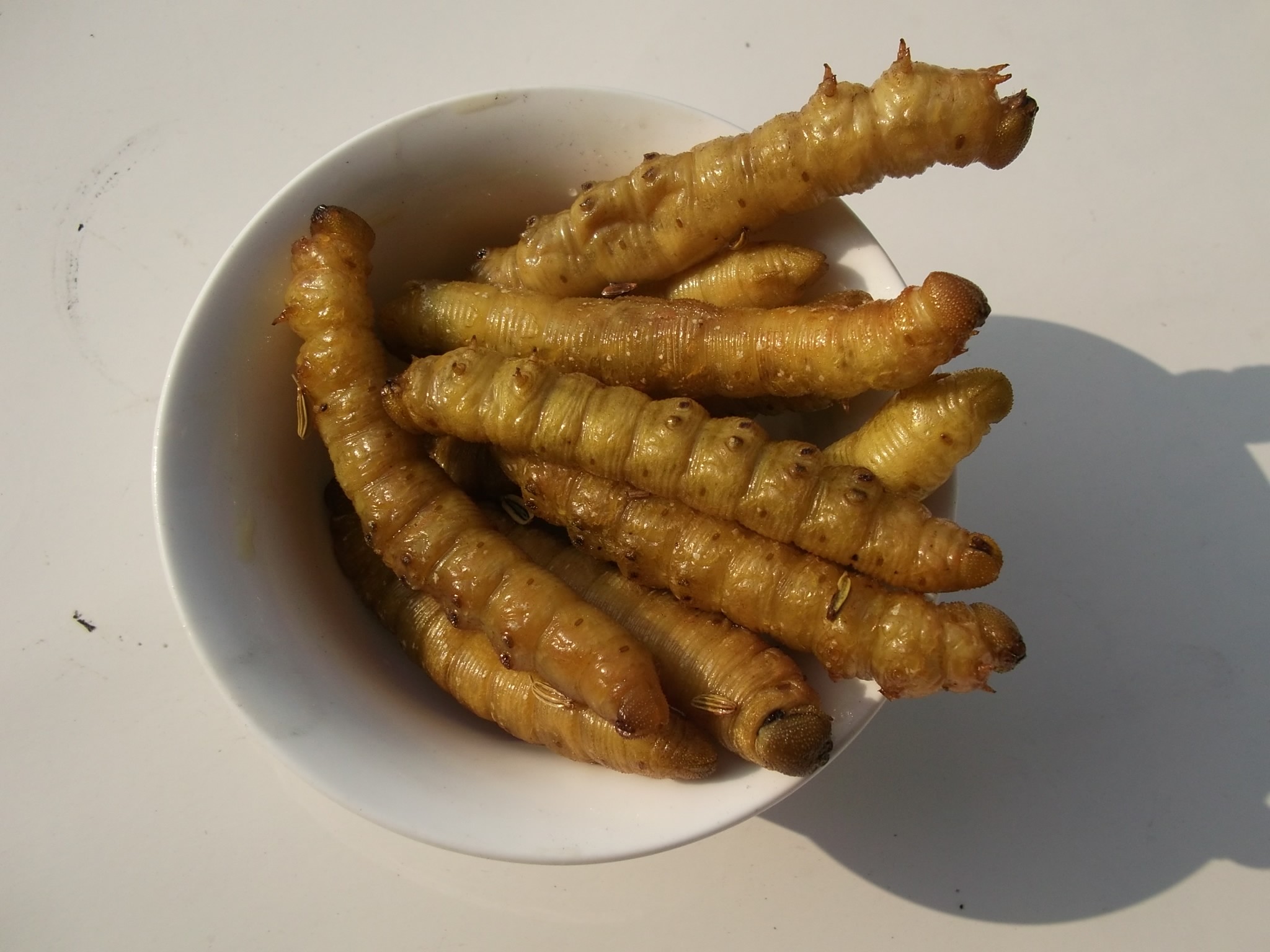 野生豆虫油炸豆虫青虫豆丹昆虫开袋即食现炸现发货沂蒙特产下酒菜