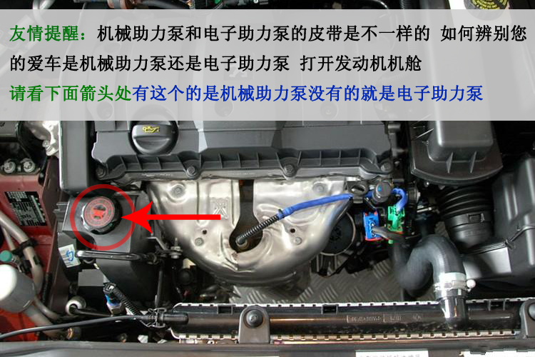 适配标致508世嘉307 206 308雪铁龙c5爱丽舍凯旋 ina正时皮带套装