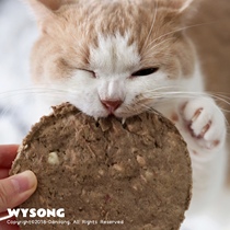 American Wysong wysen fresh staple food freeze-dried meat cat food burger meat cake quail rabbit meat beef bucket