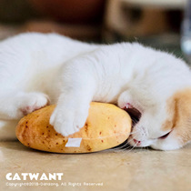 Egg general home Meow food garden CatWant cat mowang farm catnip cat toy molars Wood pillow