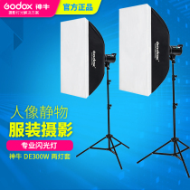 Shenniu photography lamp set de300 W studio flash studio soft light box photography equipment portrait clothing