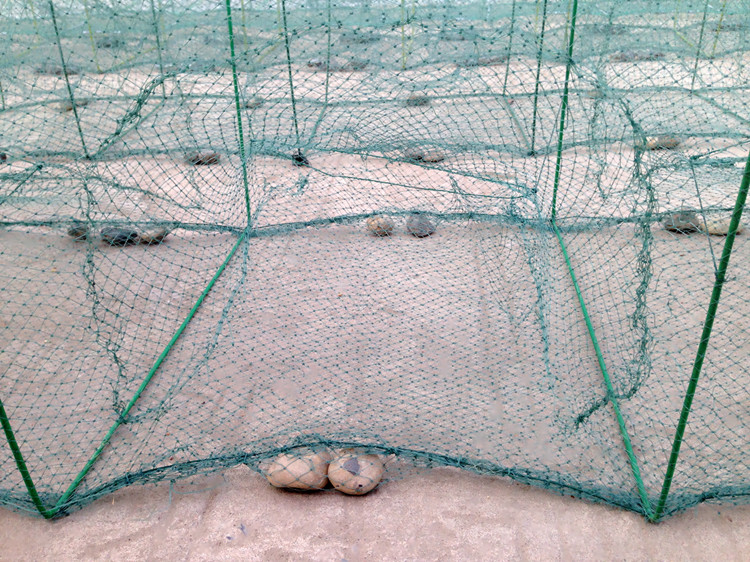 地笼渔网捕鱼网虾笼捕鱼笼地龙折叠地笼子大号有节渔网带翼大地笼