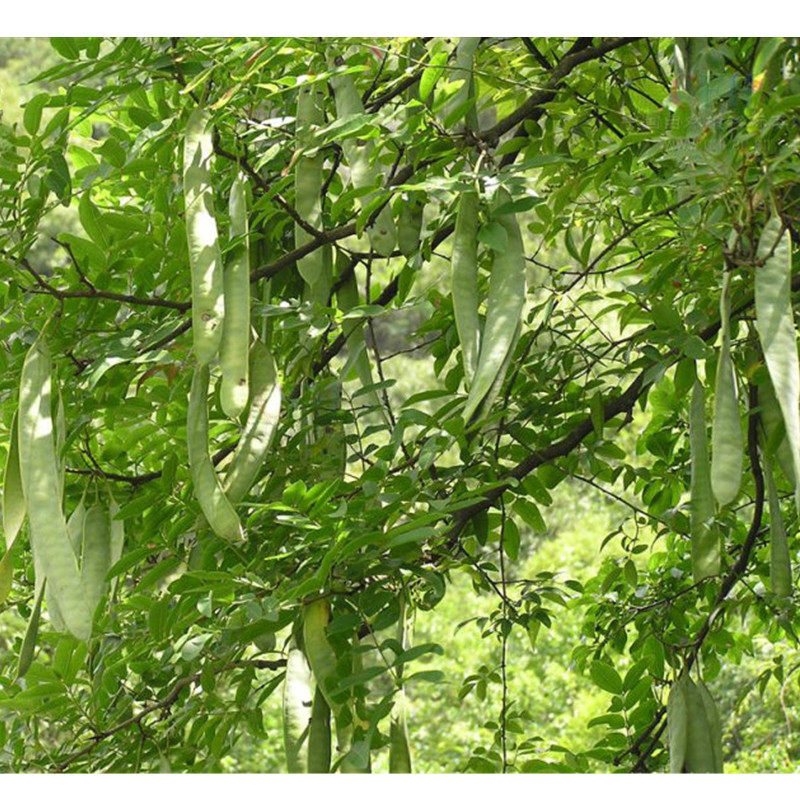 瓜尔豆胶食品级 高粘度瓜儿胶 冰激凌 饮料 牛奶 增稠 乳化稳定剂_爱