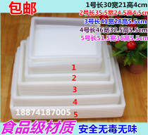 Thickened white rectangular ice tray chilled Tray storage box small square box storage plastic square food bowl