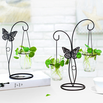 Water Cultivation Water Cultivation Hydroponic Green Lori Bronze Money Grass Creative Tabletop Upper Solid Wood Interior Decoration Glass Vase Pendulum Pieces