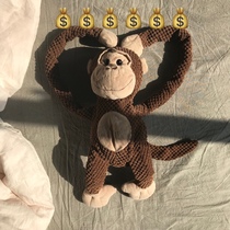 Fruit king cute little monkey