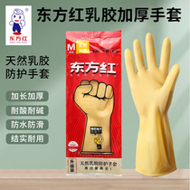 Rubber gloves Dongfanghong non-disposable gloves dishwashing cleaning hygiene latex tendon protective gloves industrial acid resistance