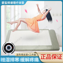 Yandi Tourmaline 3D Spectrum Electric Heating Physiological Therapy Jade Mattress Dehumidification Detoxification Health Care Foldable Package