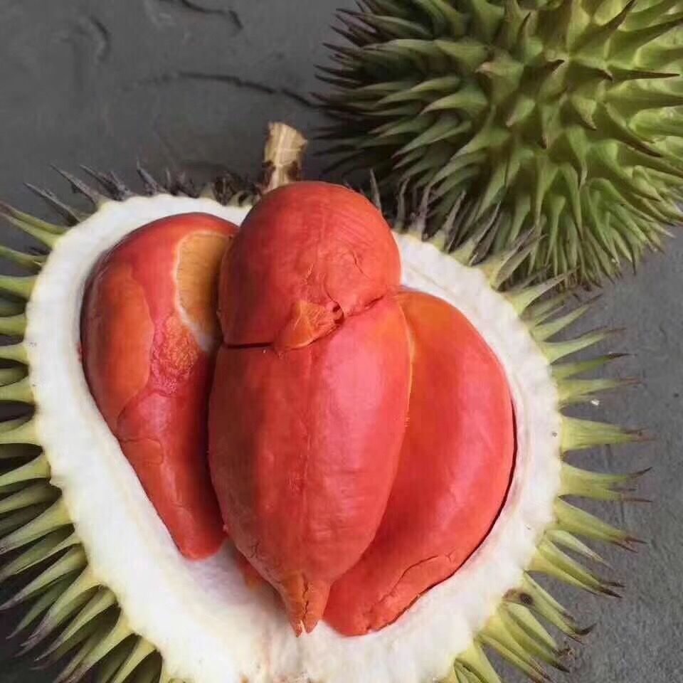 3,红肉榴莲 果肉是纯红色的.