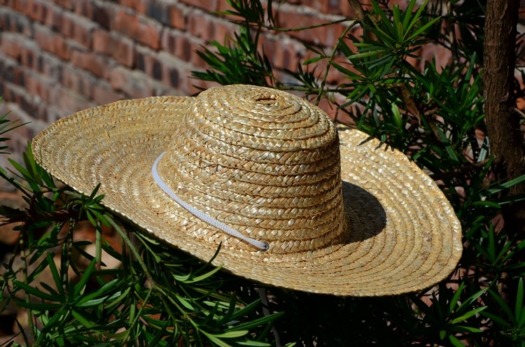 夏天在田间劳动,戴草帽有很多好处.