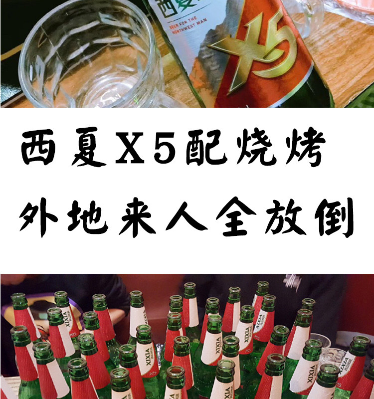 宁夏西夏啤酒x5夺命大红瓶12瓶装口服液叉五嘉士伯旗下京雪花熟黄