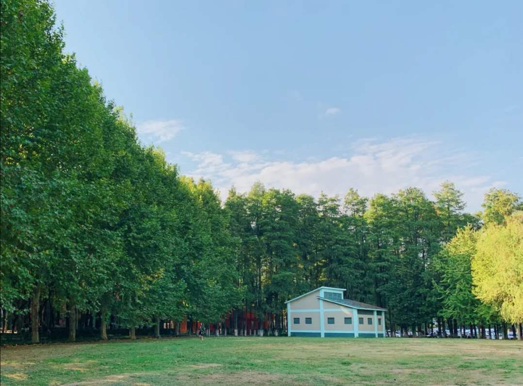 属于春天的色彩搭配,你必须要会!8