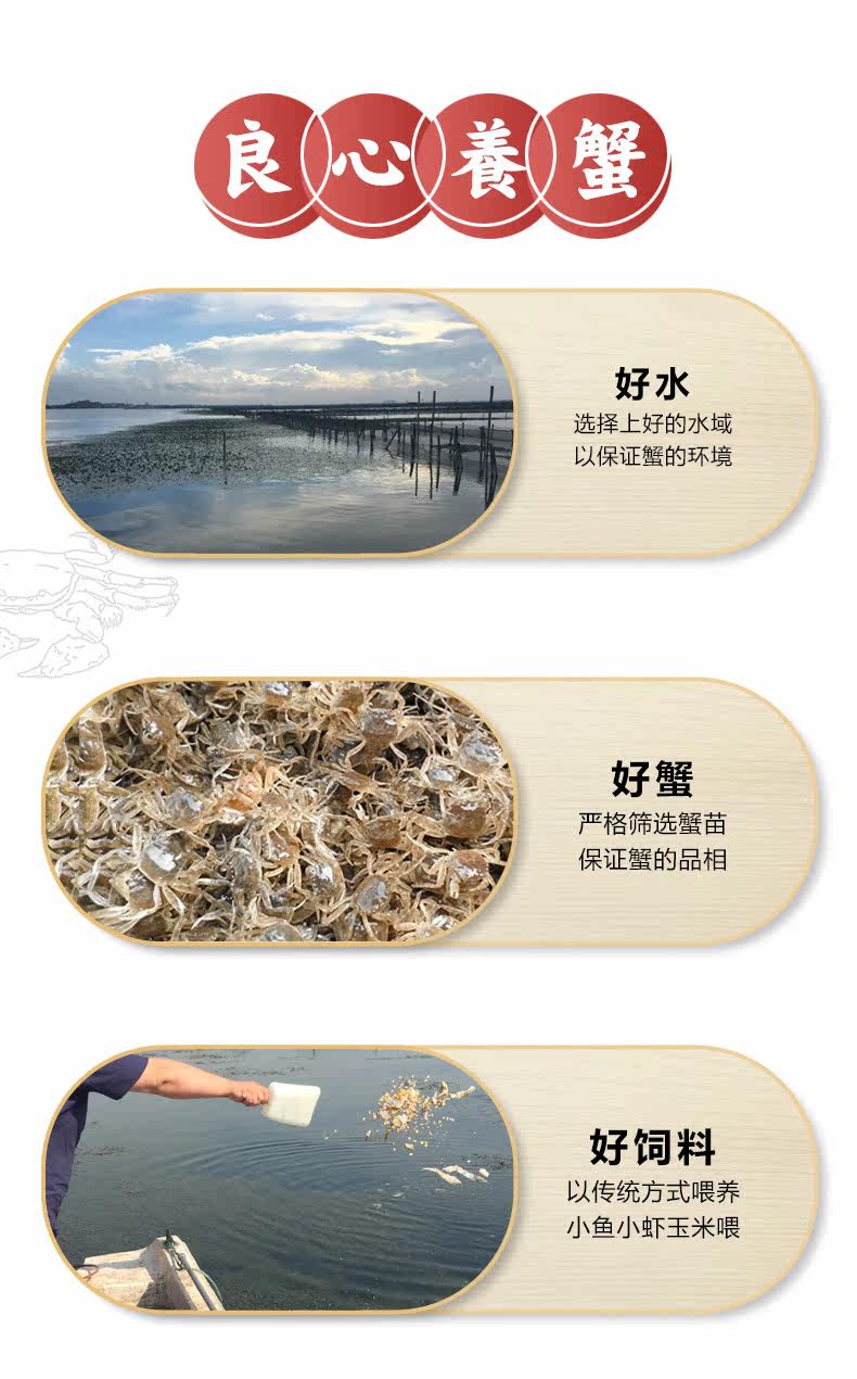Yifan Fengcheng June Yellow Details Page_07.jpg