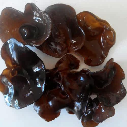 促销包邮东北长白山黑木耳云耳秋耳无根碗耳特级野生干货农家自产