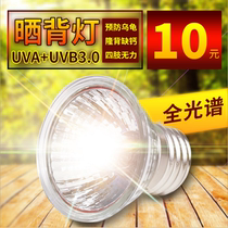 Turtle Cylinder Sunburn Back Light Uva Heating Light Uvb Lampshade Sun Light Clip Lamp Adjustable Temperature Reptile Lamp Frame