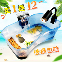 Turtle Tank With Sundae Family Turtle Special Vat Large Gold Fish Tank Plastic Basil Turtle Turtle Villa Little Turtle Box