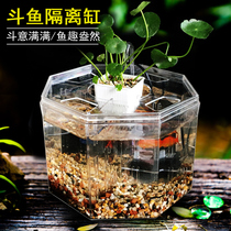 Acrylic fish tank isolation box special large number of pneumatic spawning hatchbox Peacock fish breeding box maternity small fish fry