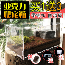 Reptile Feeding Box Acrylic Reptile Box Reptile Case Spider Lizard Lizard Reptile Reptile Reptile Reptile Reptile Reptile Rearing Box
