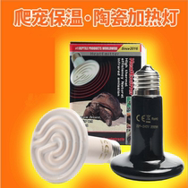Reptile Ceramic Heating Bulb Pet Turtle Tortoise Hedgehog Tortoise Reptile Lizard Infrared Warmed for warm and warm temperature control