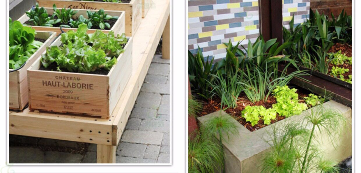 椰砖养花椰土种菜花卉多肉营养土绿萝椰糠椰粉砖宠物垫材650g包邮