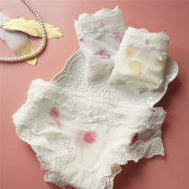 Spring Summer New Products Sexy Full Mesh Yarn Transparent Triangle Pants Low Waist Fruit Printed Cute Lace Briefs Female Shorts