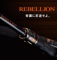 DAIWA Da YIWA 20 new REBELLION perch rod 2 sections fishing rod Luya rod