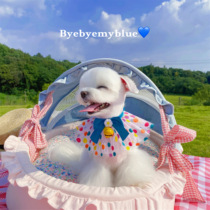 Pet Kitty Neck Ornament Mesh Red decoration Bio American British American Short Scarf small and medium sized Puppy Lovely Item Circle