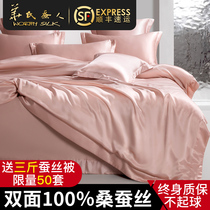 Fahrenheit Silkworm double-sided silk four-piece set Luxury solid color 100 Mulberry silk high-end summer bedding set