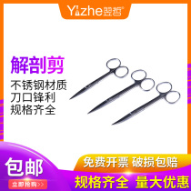 Medical Laboratory Stainless Steel Scissors Dismantling Wire Scissors Stainless Steel Straight Head Scissors 12 5 14 14 16 18cm