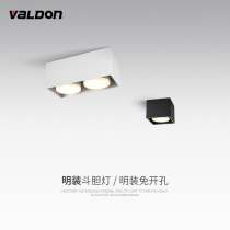 Clear fitted cylinder light led double head bucket liner light gangway Guan Guan Suction Top Style Spotlight Living Room Bedroom free open pore No main lamp