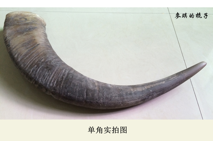 正宗越南白水牛角原料大号白水牛角整角原材料对角牛角摆件